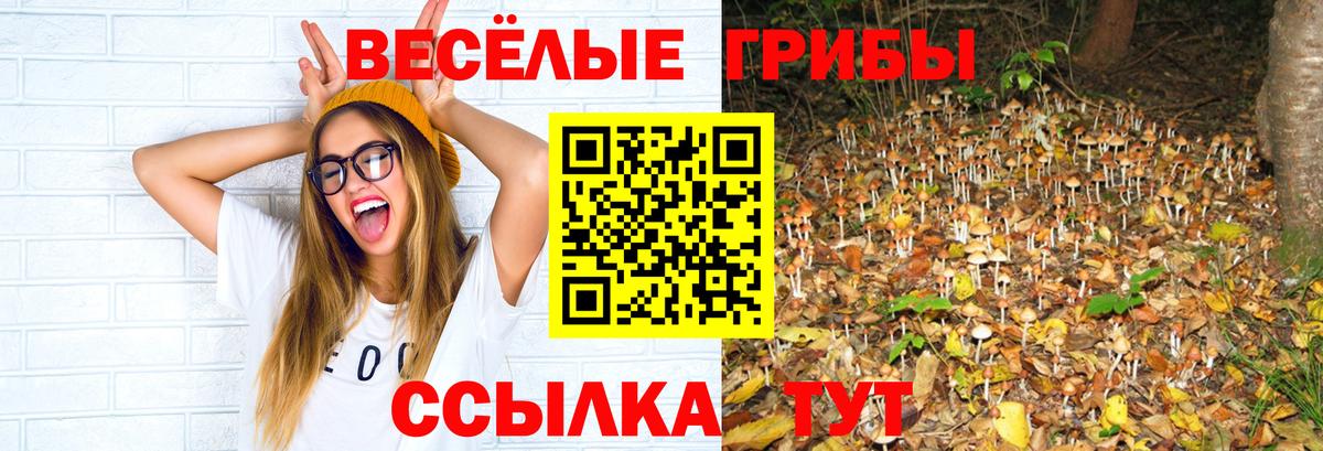 Псилоцибиновые грибы Cubensis Златоуст