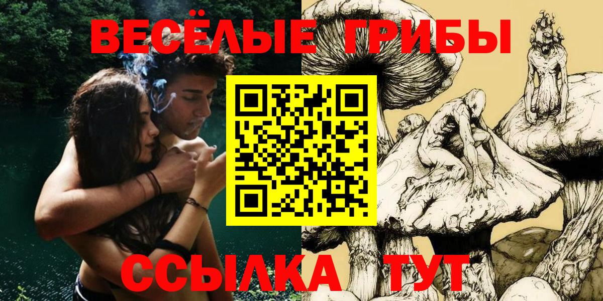 Псилоцибиновые грибы мицелий  Вход с VPN  Златоуст 